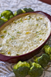 Hot Broccoli Dip Gluten Free