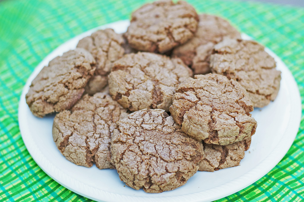 Chocolate Sugar Cookies Gluten Free Dairy Free