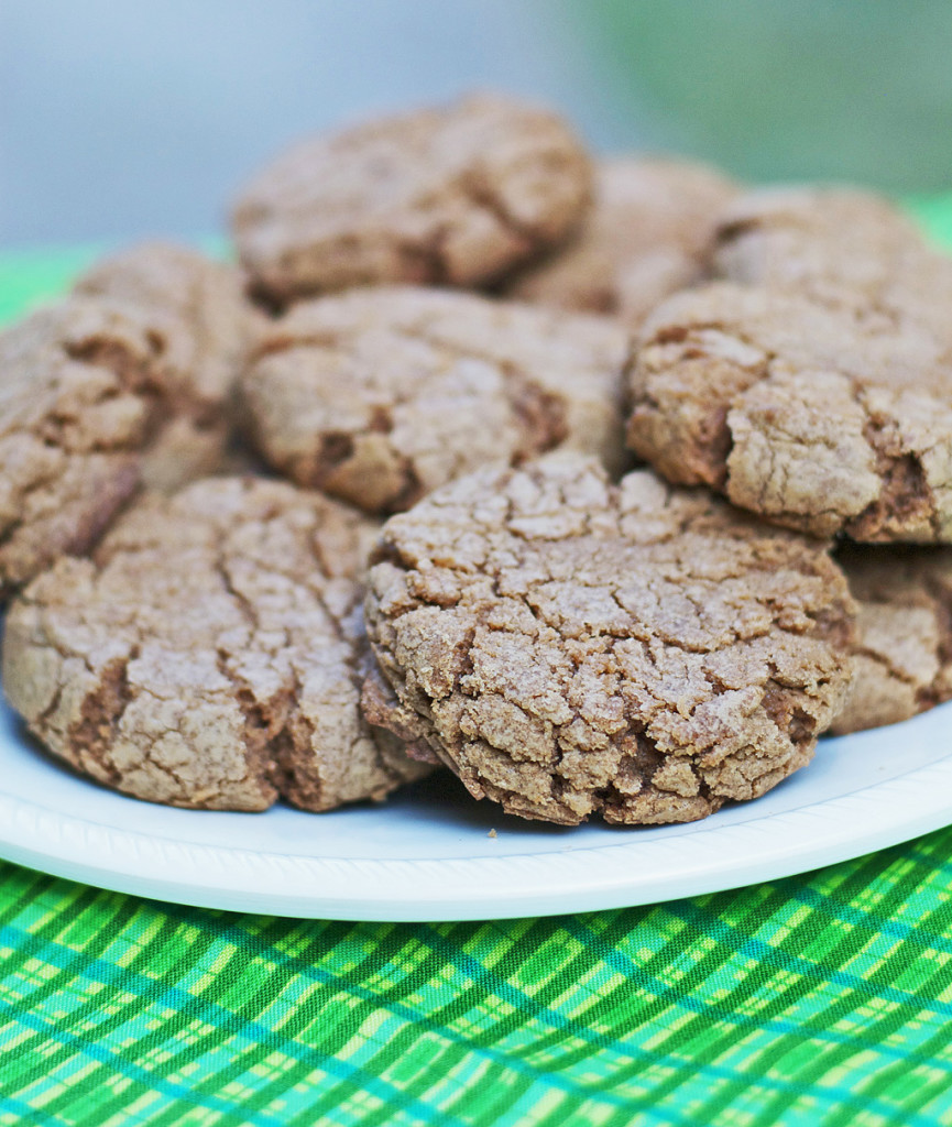 Chocolate Sugar Cookies Gluten Free Dairy Free