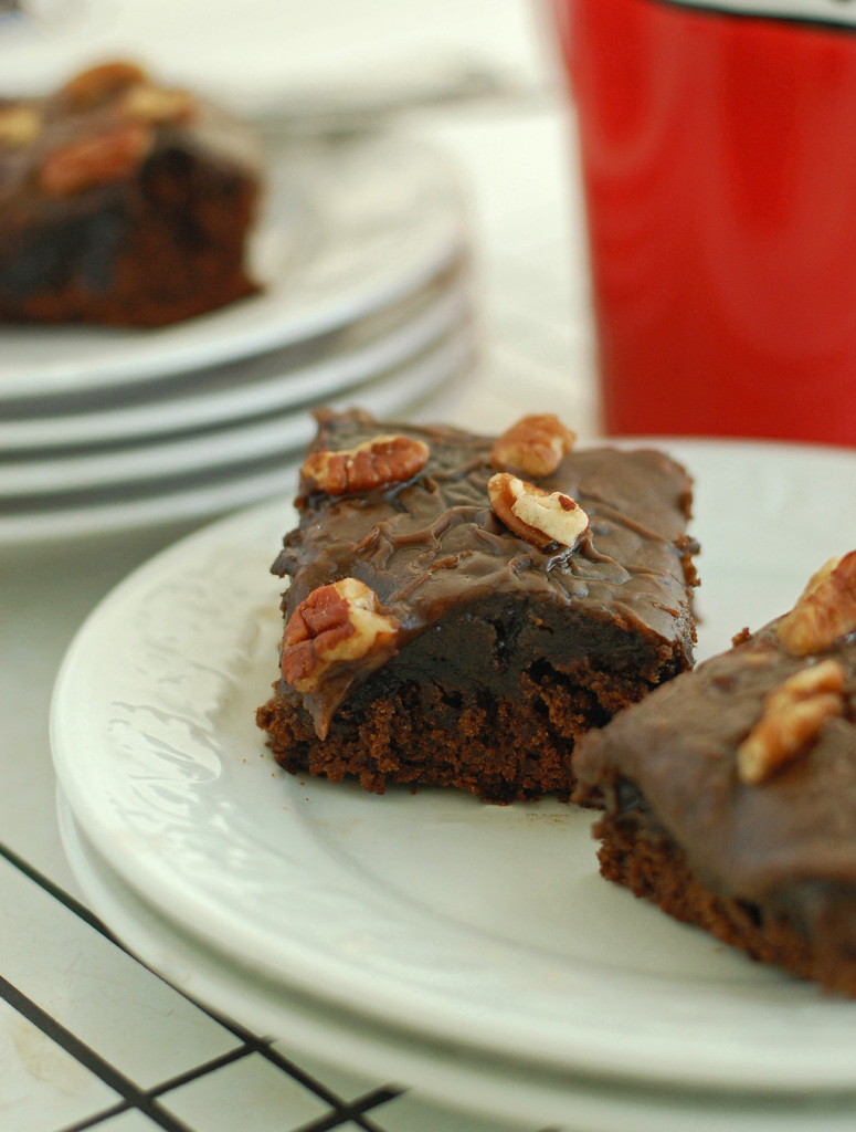 Mocha Cake with Chocolate Espresso Icing Gluten Free Dairy Free