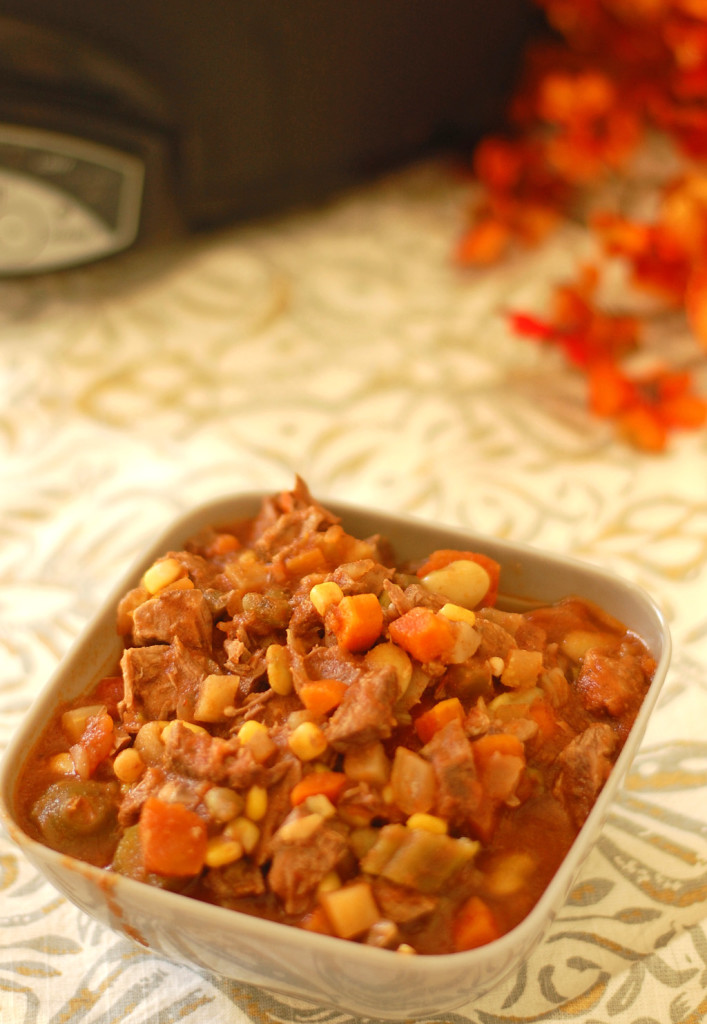 Slow Cooker Vegetable Beef Soup