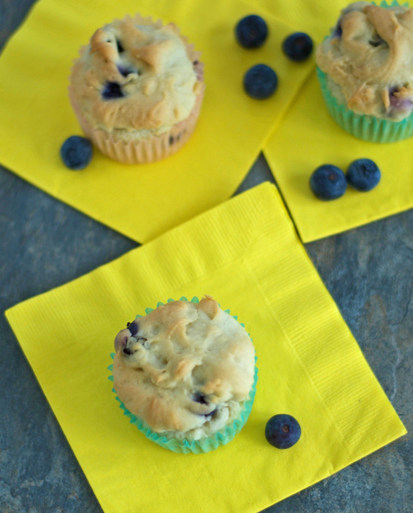 Gluten Free Blueberry Muffins Recipe