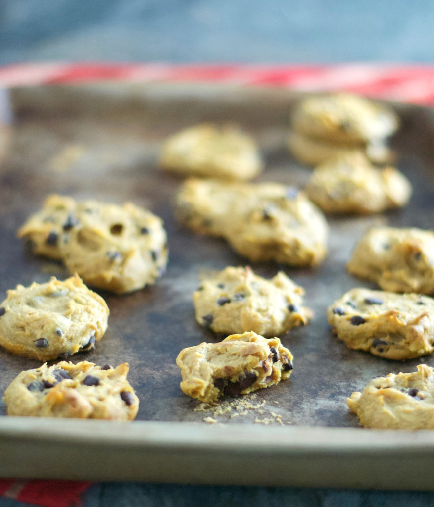 Gluten Free Pumpkin Chocolate Chip Cookies Recipe